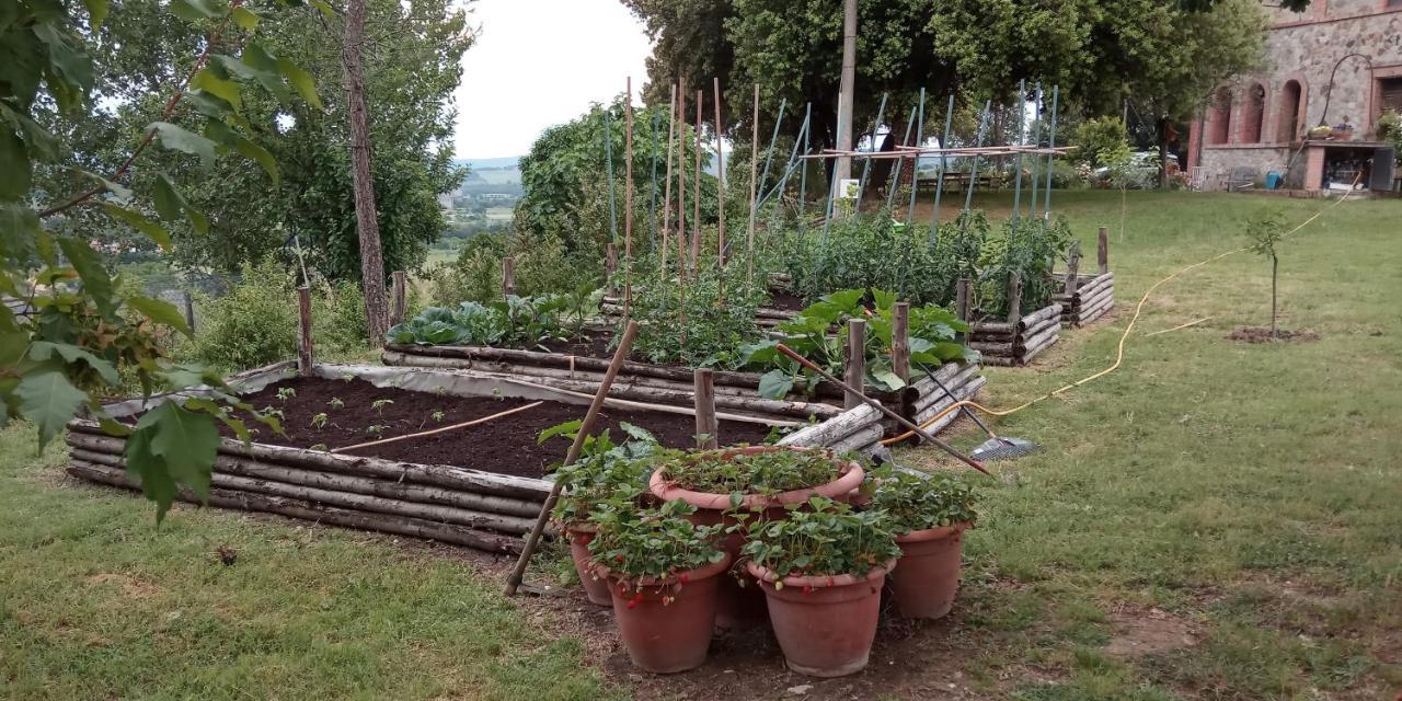 Agriturismo Riparossa Allerona Экстерьер фото