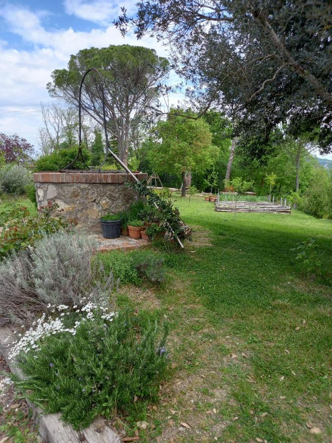Agriturismo Riparossa Allerona Экстерьер фото