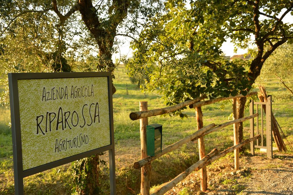 Agriturismo Riparossa Allerona Экстерьер фото