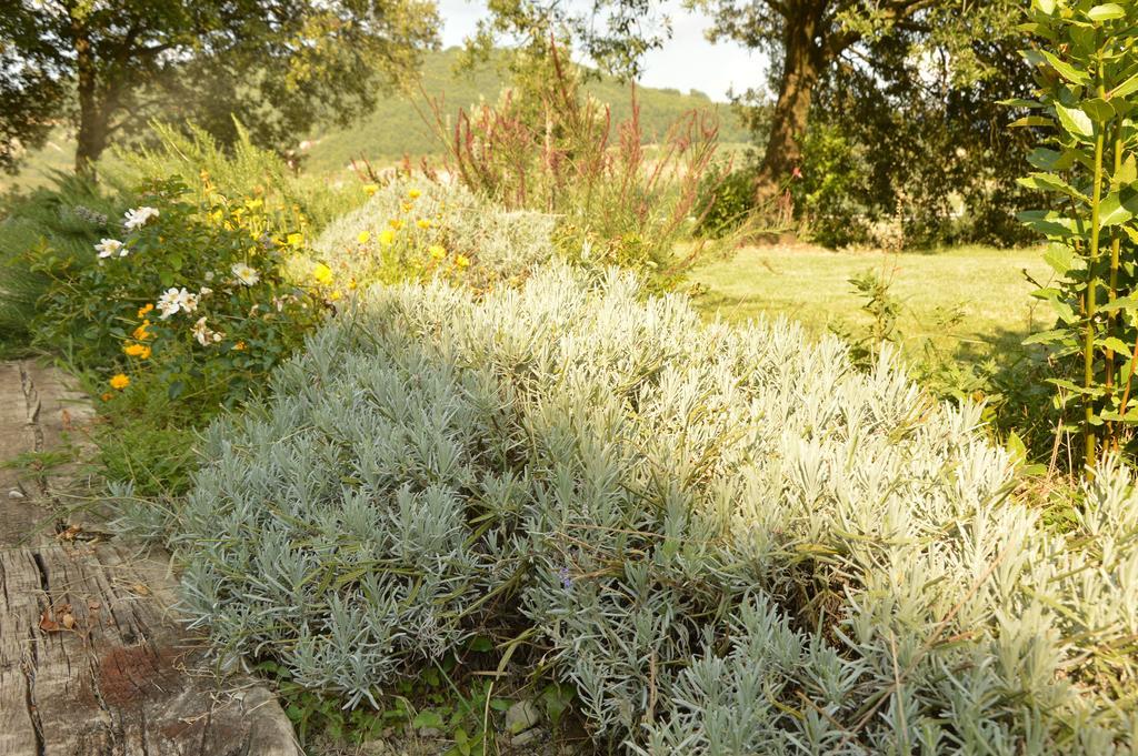 Agriturismo Riparossa Allerona Экстерьер фото