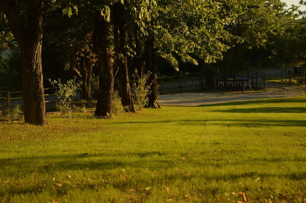 Agriturismo Riparossa Allerona Экстерьер фото