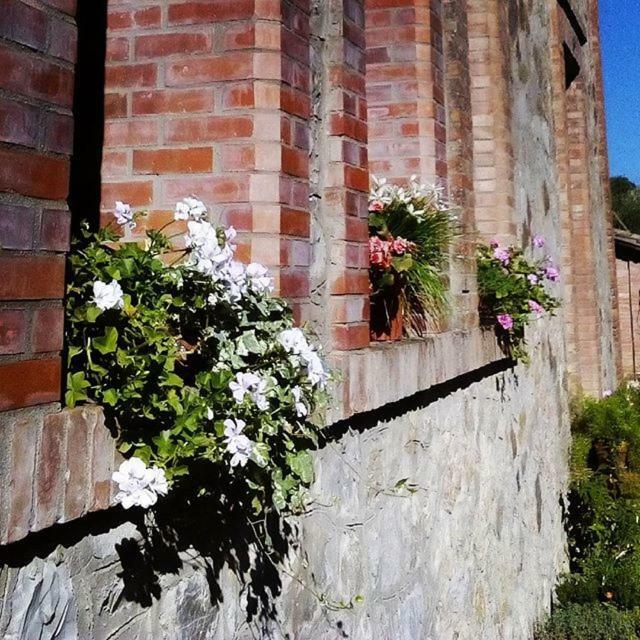 Agriturismo Riparossa Allerona Экстерьер фото