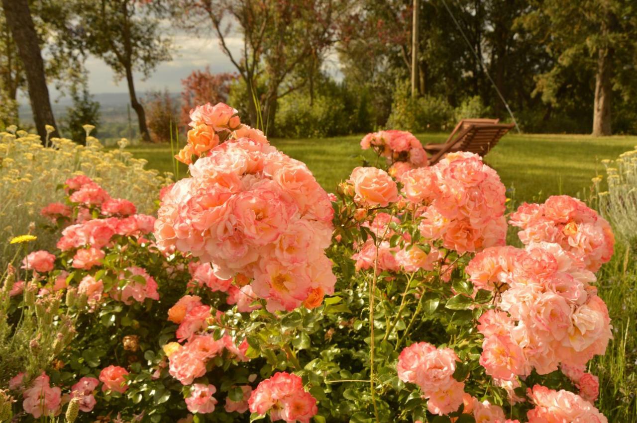 Agriturismo Riparossa Allerona Экстерьер фото